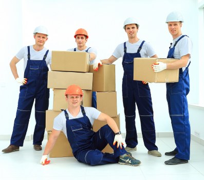 Person using assistive technology on an accessible removals website